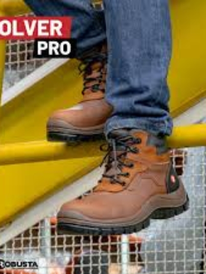 ROBUSTA SOLVER PRO